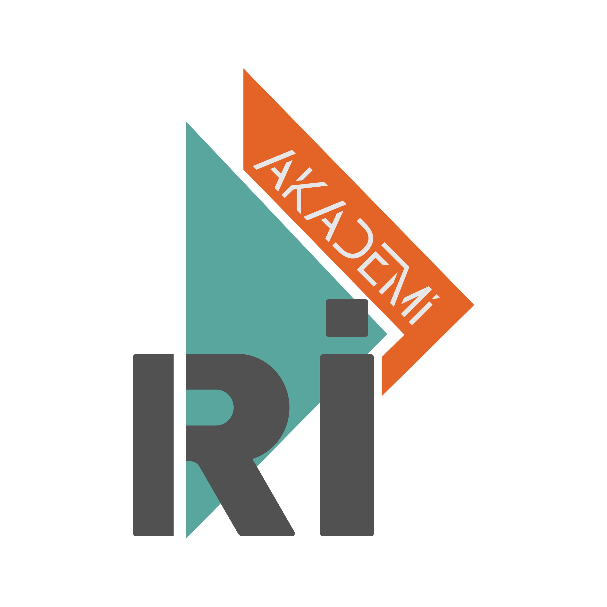 Ri Akademi Bilişim Teknolojileri Sanayi Ticaret Limited Sirketi