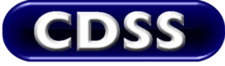 Computer Designs, Systems, Services (Nig) Limited