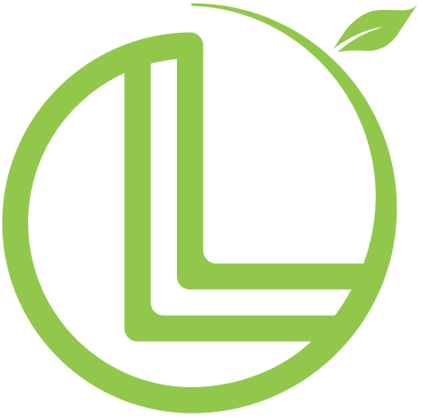 Limon Informatica S.A. de C.V.