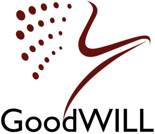 GOODWILL INFOTECH LLC