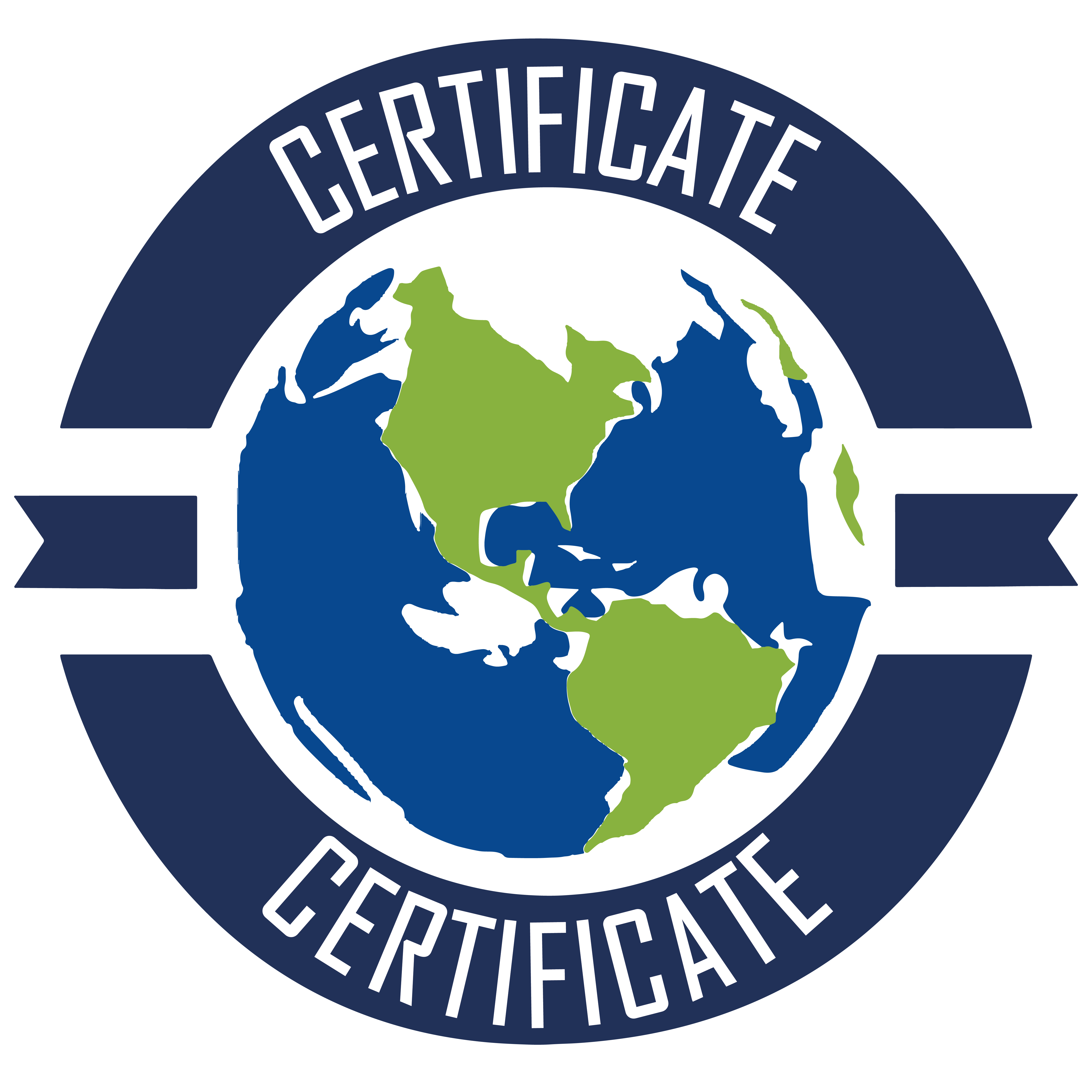 CERTIFICATE PROJECT CONTROL E.I.R.L.